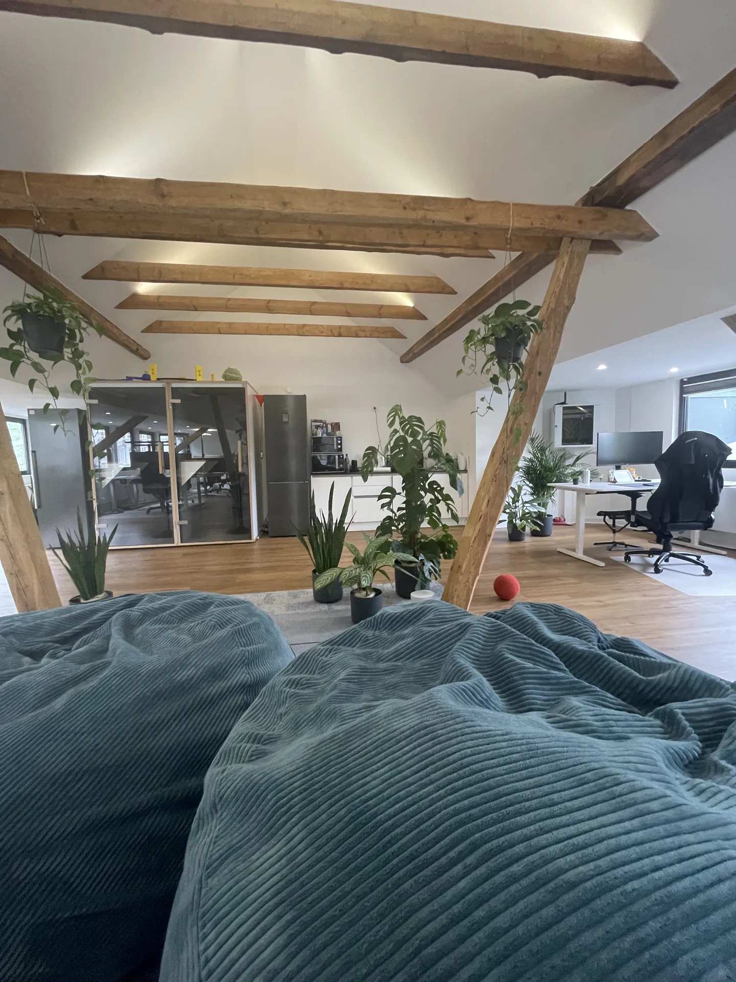 Offener Büroloft bei Touchpoint mit Arbeitsplätzen, Küchenzeile und viel Grün.
