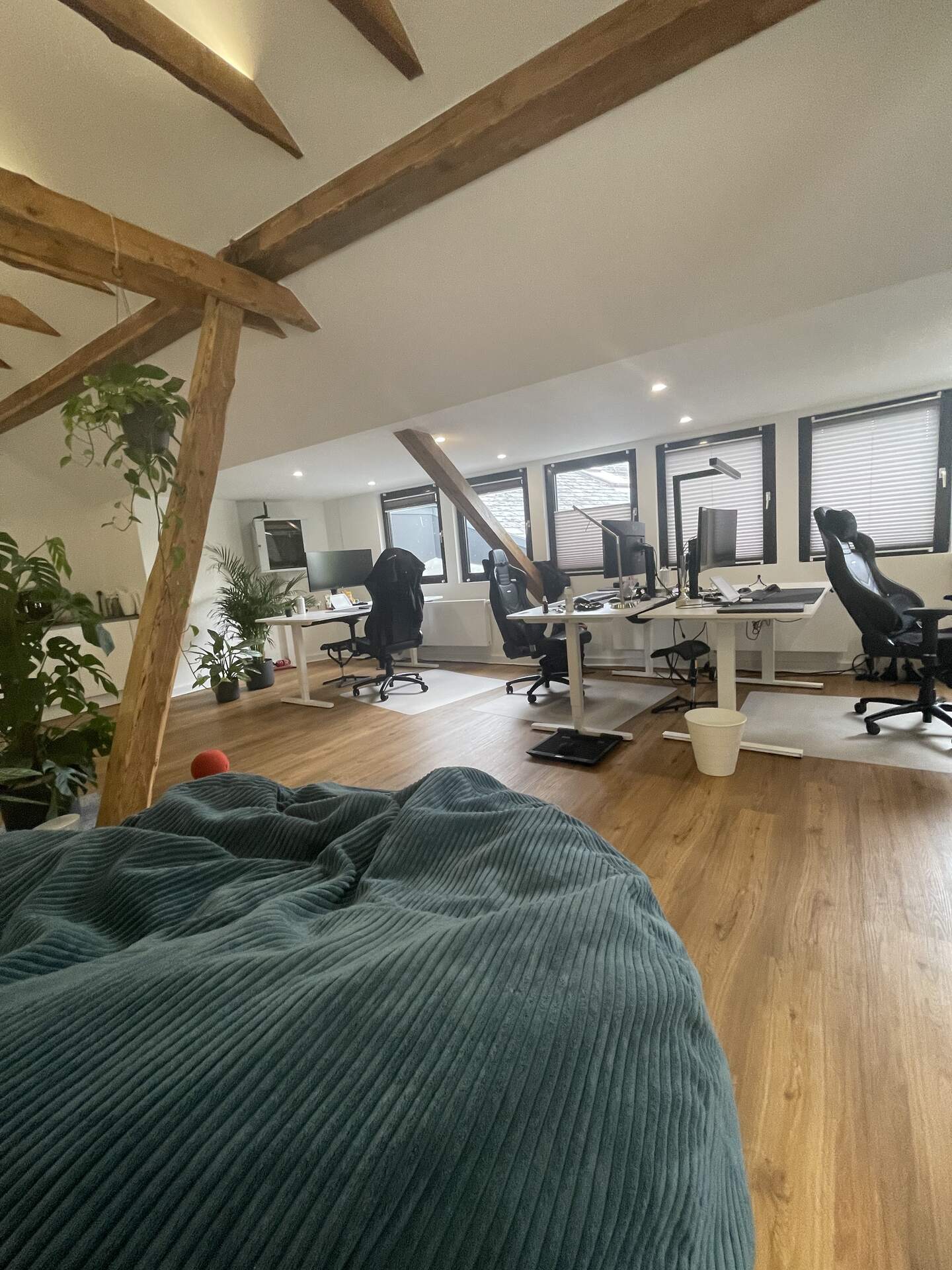 Arbeitsplätze im Touchpoint-Büro unter Holzbalken, Pflanzen und Tageslicht.