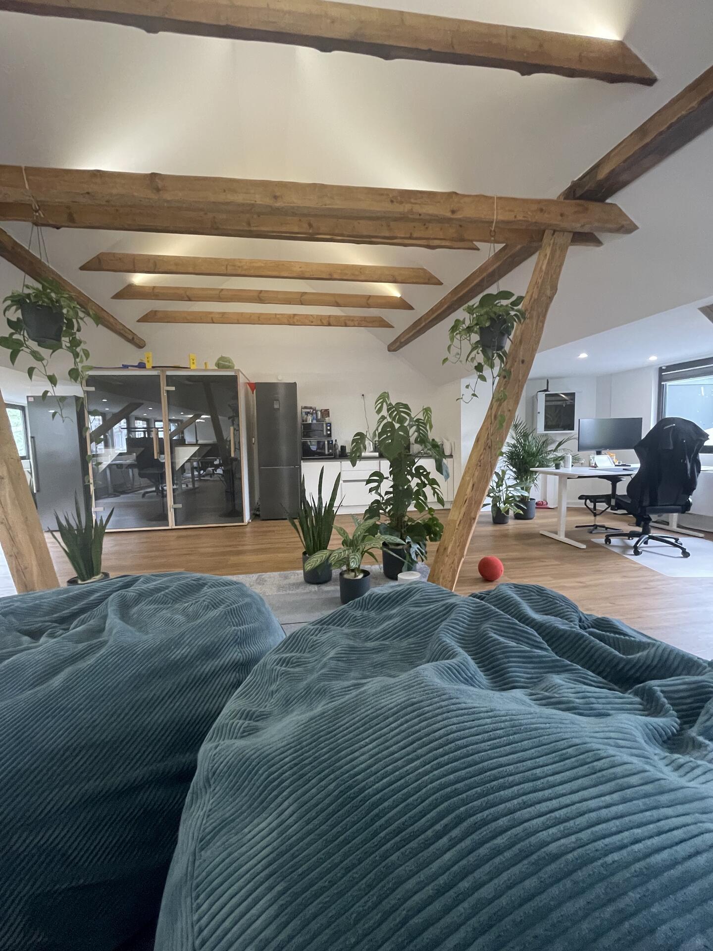 Offener Büroloft bei Touchpoint mit Arbeitsplätzen, Küchenzeile und viel Grün.